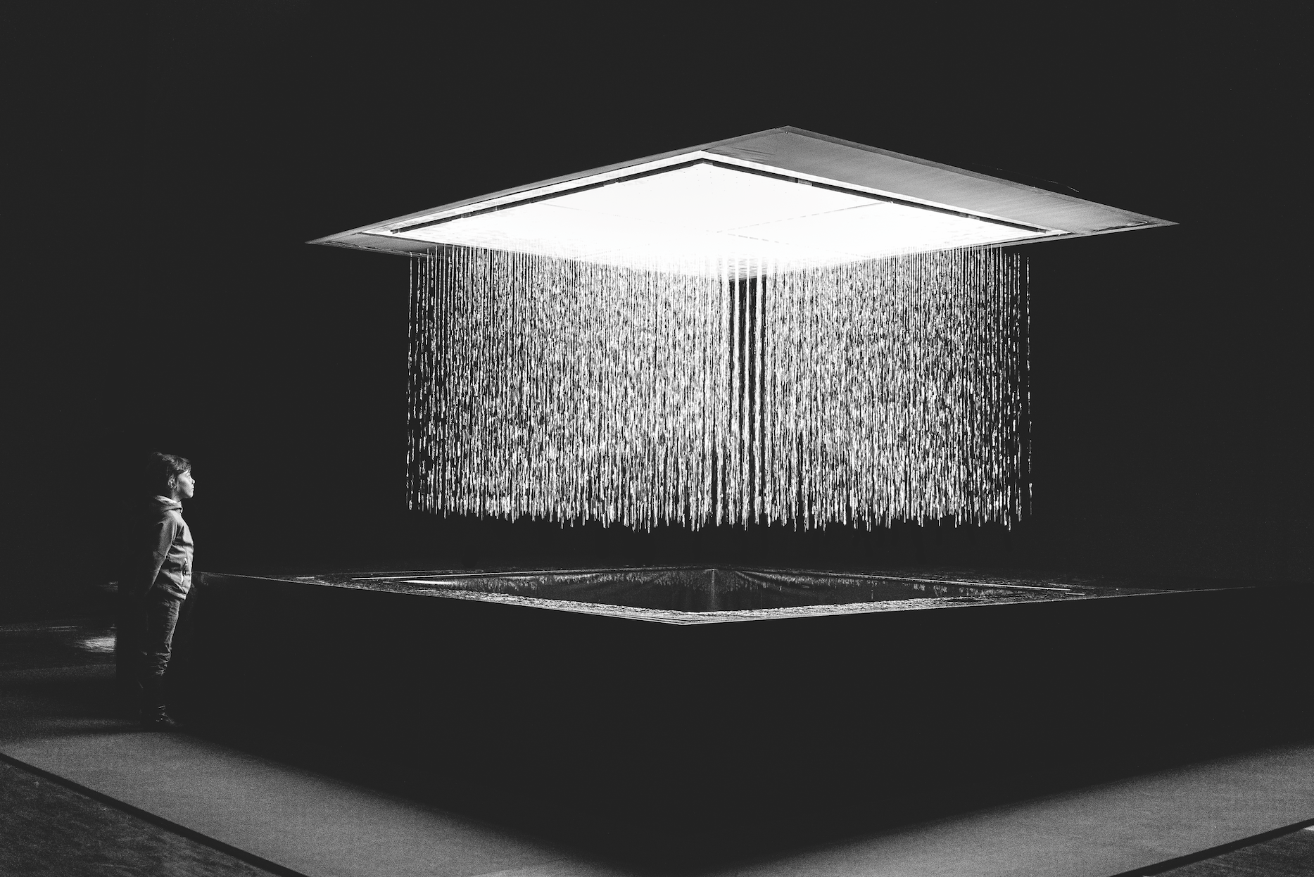 Digitalife, quando gli algoritmi e la realtà virtuale diventano arte