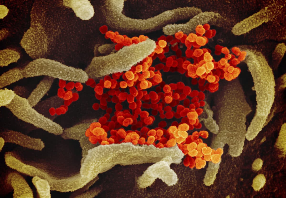 Vaccino anti-coronavirus: una corsa, a ostacoli, contro il tempo