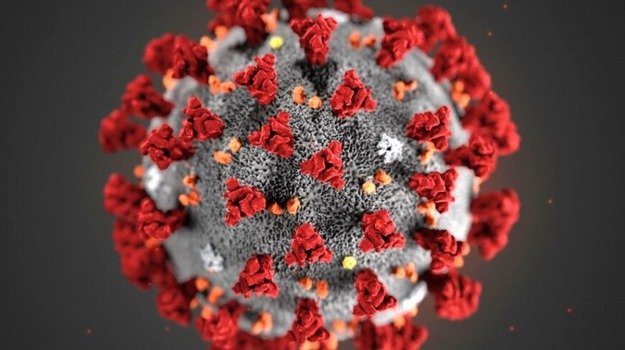 Tutti i segreti di mio cugino per affrontare il Coronavirus