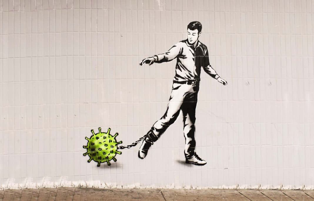 rebel bear glasgow coronavirus WEB