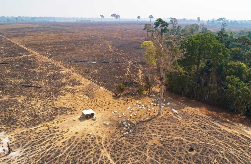 Brazil Climate Brazil Deforestation