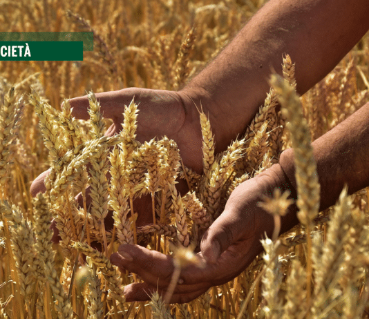 L’economia circolare è una chimera. Per salvare il pianeta serve un nuovo modello di agricoltura