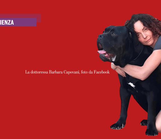 La morte di Barbara e la tragedia della psichiatria italiana
