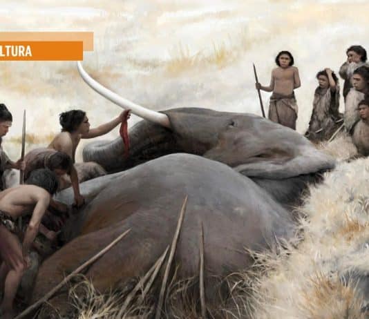 A lezione dai Neanderthal per affrontare il climate change