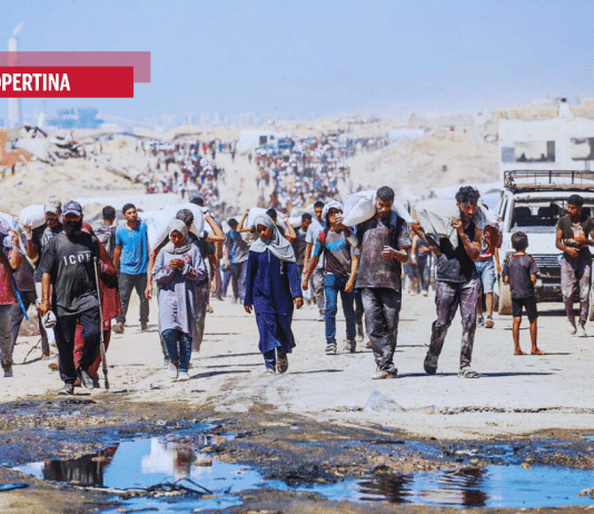 Faten Elwan: A Gaza è un genocidio in diretta