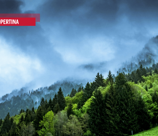 Il giusto clima per uno sviluppo sostenibile